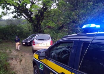 PRF descobre esconderijo de carros roubados e recupera três veículos na BR-101
