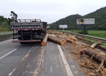 Carga cai de caminhão na BR-101