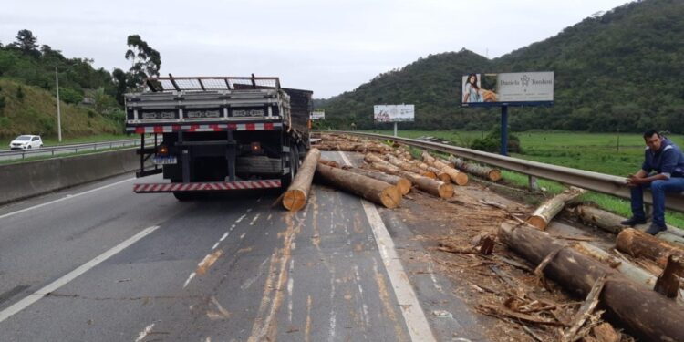 Carga cai de caminhão na BR-101