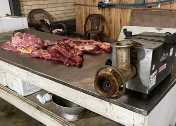 Restaurantes de SC são investigados por venda de carne de cavalo para consumo humano