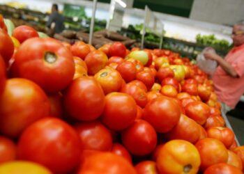 Tomate chega a R$ 9 em alguns estabelecimentos de SC
