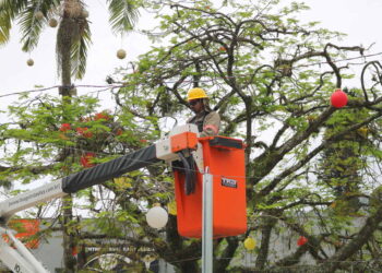 Acendimento das luzes de Natal acontece nesta segunda-feira em Jaraguá do Sul