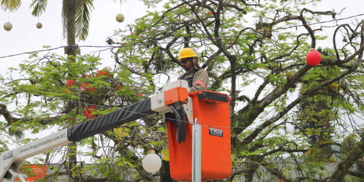 Acendimento das luzes de Natal acontece nesta segunda-feira em Jaraguá do Sul