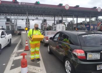 BR-101 tem papa-fila no pedágio