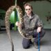Fujama captura maior espécie de cobra do Norte de SC em Jaraguá do Sul