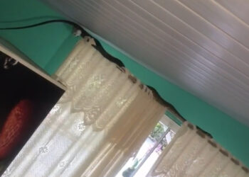 Mulher encontra cobra na cozinha em Jaraguá do Sul