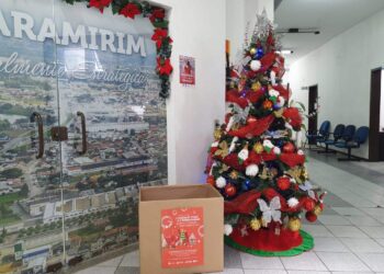 Campanha de arrecadação de brinquedos em Guaramirim segue até o dia 18 de dezembro