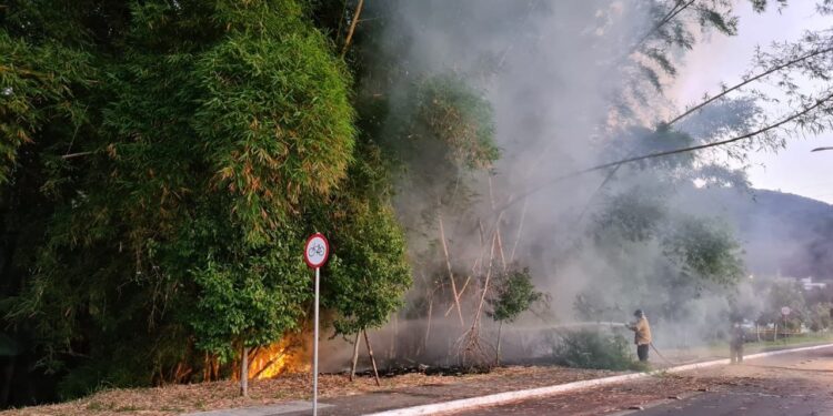 [Vídeo] Incêndio em bambuzal mobiliza bombeiros em Jaraguá do Sul
