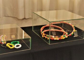 Exposição em Jaraguá do Sul retrata o Dia da Consciência Negra