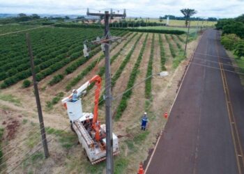 Vereador aponta precariedade da rede elétrica na zona rural de Jaraguá do Sul