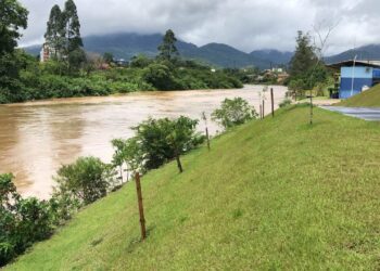 Mulher que caiu no Rio Itapocu é resgatada, em Jaraguá do Sul