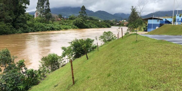 Mulher que caiu no Rio Itapocu é resgatada, em Jaraguá do Sul