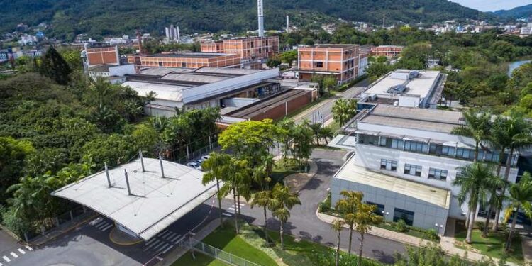 Duas Rodas é reconhecida como empresa Destaque em Mercado Global