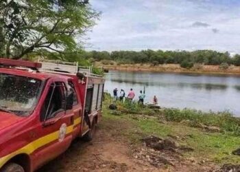 Homem foge de abelhas, pula em lago e morre atacado por piranhas