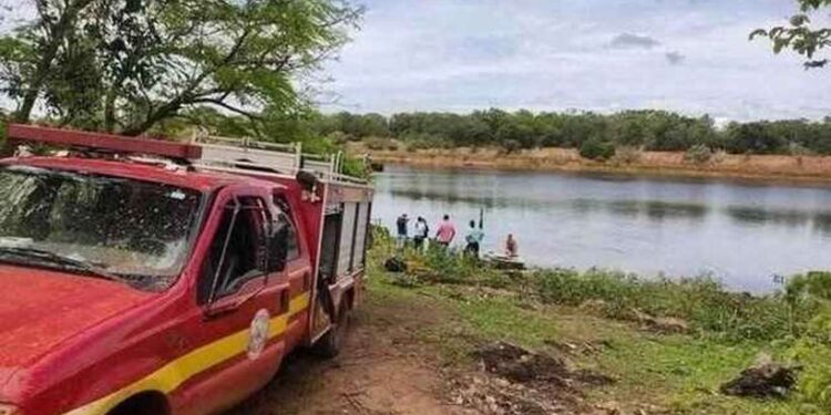 Homem foge de abelhas, pula em lago e morre atacado por piranhas