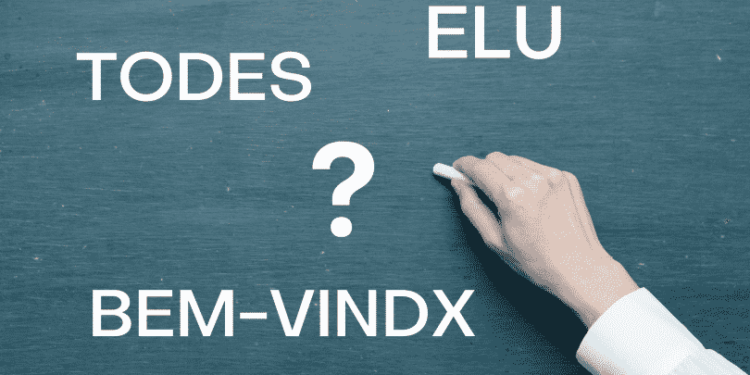 Governo de SC vai ao STF defender decreto contra a linguagem neutra