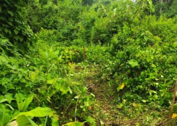 Homem é encontrado enterrado no terreno da ex em SC