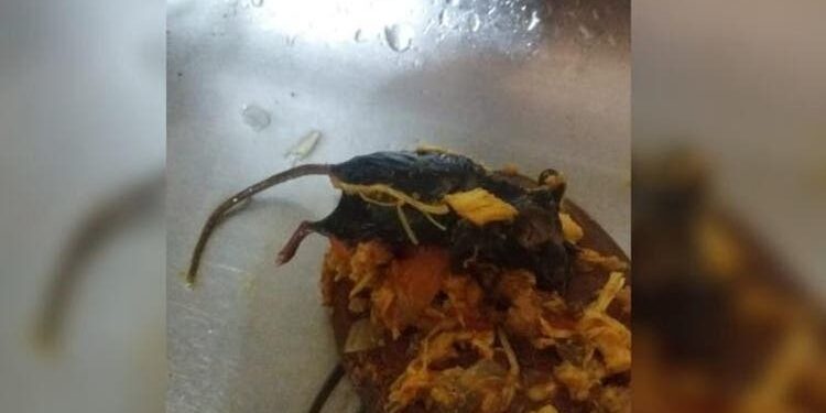 Rato é encontrado dentro de molho de tomate
