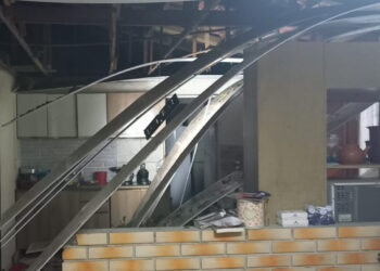 Defesa Civil retira árvore que caiu sobre residência em Jaraguá do Sul