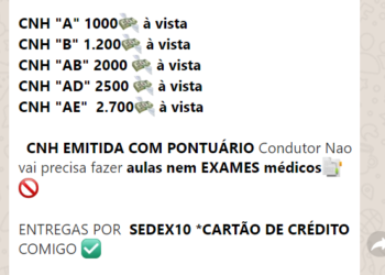 Polícia Civil alerta para denúncia de vendas de CNH no WhatsApp em Jaraguá do Sul