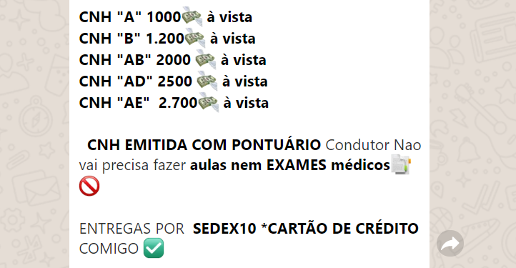 Polícia Civil alerta para denúncia de vendas de CNH no WhatsApp em Jaraguá do Sul