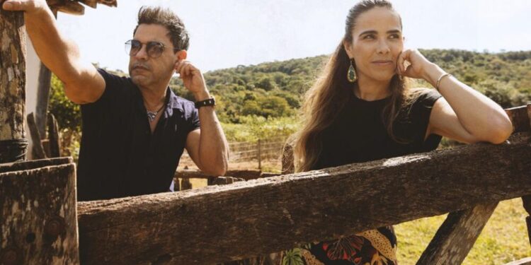 Dicas para preparar a festa