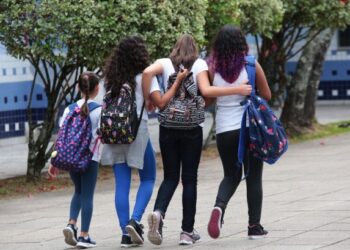 Projeto de lei que garante distribuição gratuita de absorventes para estudantes é protocolado na Alesc