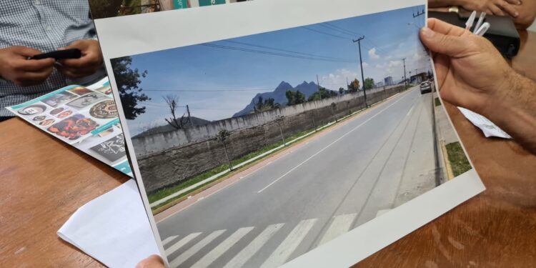 Artista plástico projeta obra de 240 metros quadrados em Guaramirim