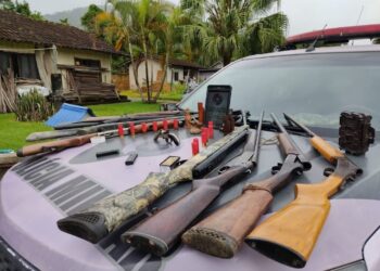 Sete armas de fogo são apreendidas e um homem é preso em Schroeder em ação de combate à caça ilegal