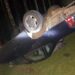 Carro capota e motorista fica ferido em Jaraguá do Sul
