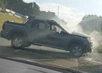 [Vídeo] Idoso fica ferido após acidente na BR-280, em Guaramirim