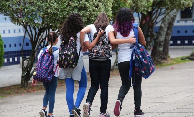 Projeto de lei que garante distribuição gratuita de absorventes para estudantes é protocolado na Alesc