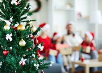 Procon de Jaraguá dá dicas ao consumidor para as compras de Natal