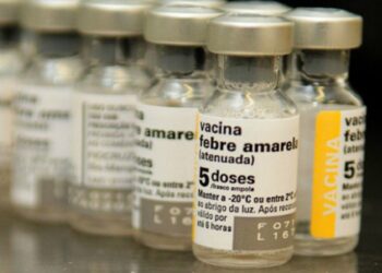 Voo que traria lote da Pfizer para crianças desembarca em SC com vacina contra febre amarela