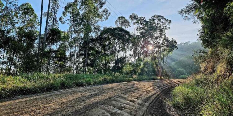 Pavimentação da SC-414 deve ser assinada hoje (24)