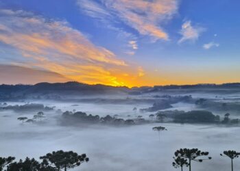 Santa Catarina registra geada nesta quinta-feira (13)
