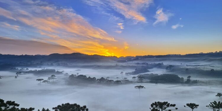 Santa Catarina registra geada nesta quinta-feira (13)
