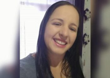 Agricultora morre após levar mais de 100 picadas de abelhas em SC