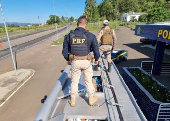 Carga com 200 mil maços de cigarros contrabandeados é apreendida em SC