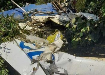 Avião agrícola cai em Luiz Alves