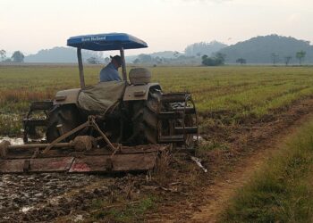 Novos bairros de Guaramirim começam a ser atendidos para regularização fundiária