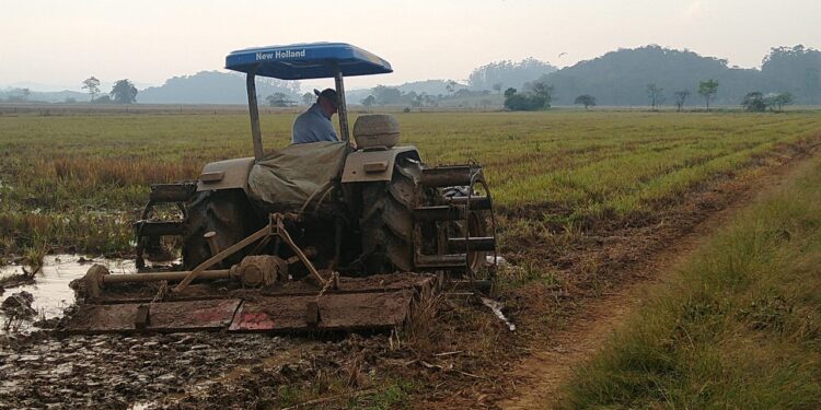 Novos bairros de Guaramirim começam a ser atendidos para regularização fundiária