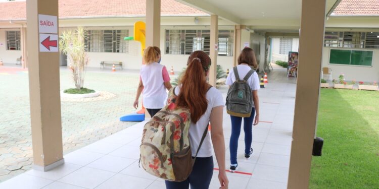 Curso profissionalizante gratuito abre vagas para Santa Catarina