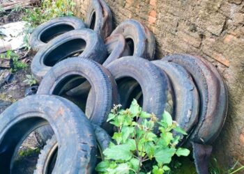 Guaramirim registra recorde de focos de dengue em janeiro