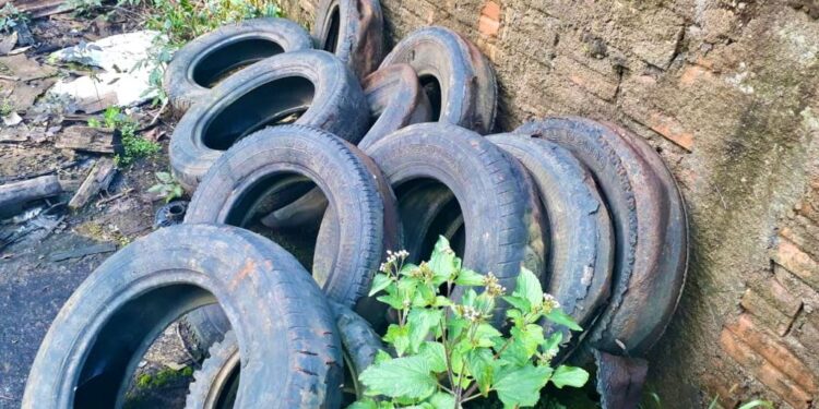 Guaramirim registra recorde de focos de dengue em janeiro