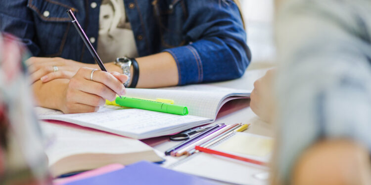 Educação segue com vagas de estágio para estudantes do Ensino Superior em Guaramirim