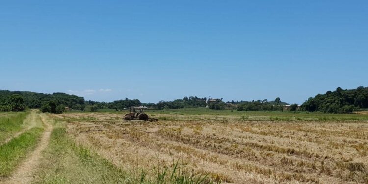 Inscrições em programa de regularização fundiária de Guaramirim encerram nesta semana