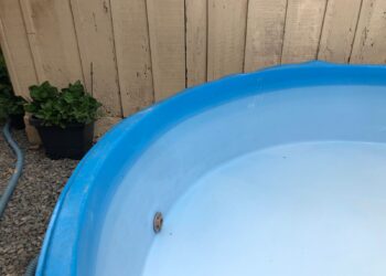 Homem invade propriedade e defeca na piscina em Jaraguá do Sul