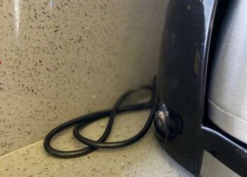 Mulher aciona Fujama após confundir cabo de cafeteira com cobra em Jaraguá do Sul