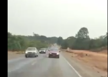 [Vídeo] Mulher é flagrada transitando em marcha ré em rodovia de SC